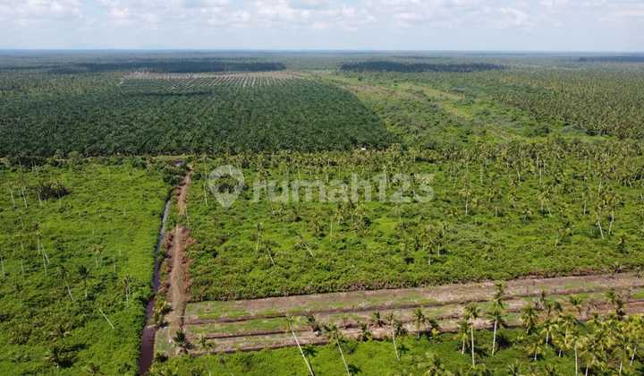 Quick Sale Land Suitable for Investment Peniti West Kalimantan
