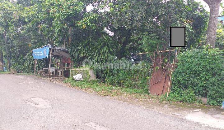 Tanah Luas Sedap Malam, Pasuruan Murah Untuk Investasi Aud.a010 1