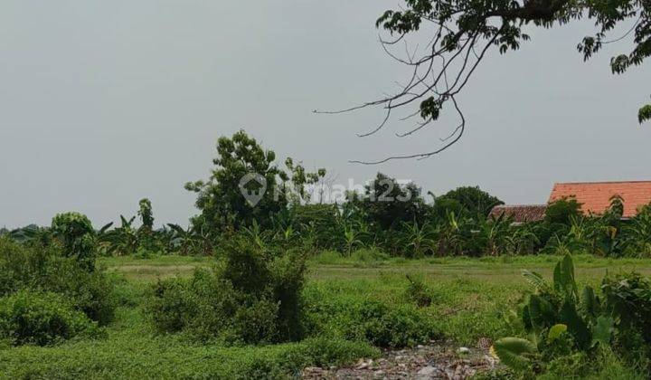 Tanah Nol Jalan Kraton Pasuruan Murah Untuk Investasi Aud.a004 2