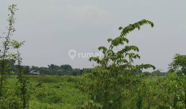 Tanah Nol Jalan Kraton Pasuruan Murah Untuk Investasi Aud.a004 1