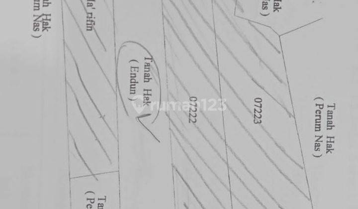 Tanah Luas Bisa untuk Investasi di Raya Petiken Gresik HEN.B691 1