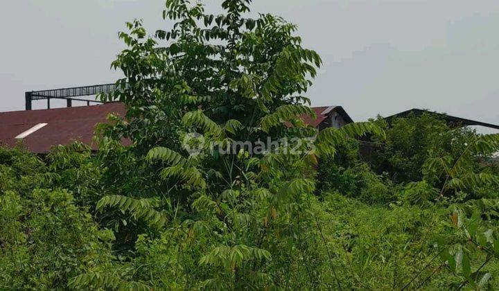 Termurah‼️Tanah Kraton, Tambak Rejo Pasuruan 2