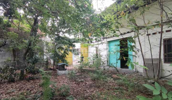 Tanah Simo Tambaan Sekolahan Area Sukomanunggal Murah Tanah Simo Tambaan Sekolahan Area Sukomanunggal Murah