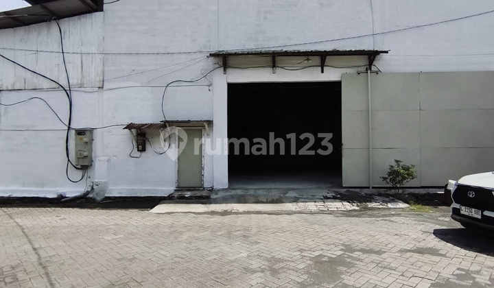 Gudang Tropodo Siap Huni Bagus Bebas Banjir. Gudang Tropodo Siap Huni Bagus Bebas Banjir.