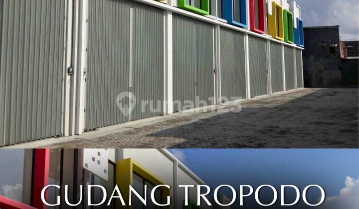 Disewakan Gudang Tropodo Murahhh Sidoarjo 