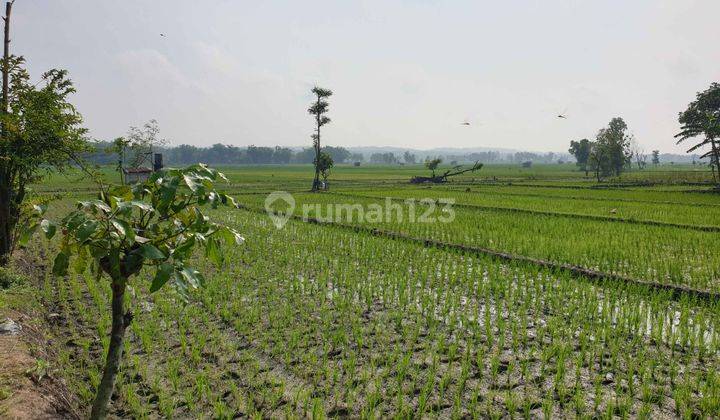 Kavling Ngawi Kwadunga Lor, Kecamatan Padas 1