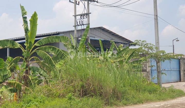 Dijual Cepat Tanah Strategis Wringin Anom Gresik  3