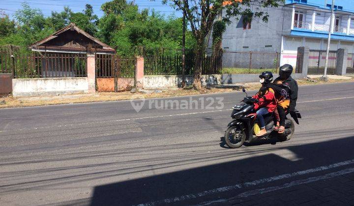 Dijual Cepat Tanah Strategis Rogojampi Banyuwangi 2