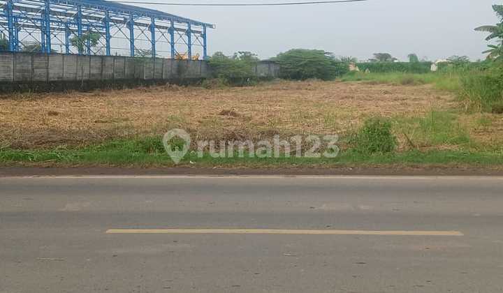KAVLING BRINGKANG, MENGANTI GRESIK
