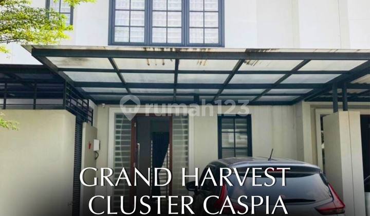 Disewakan Cepat Rumah Siap Huni Perumahan Grand Harvest Cluster Caspia Surabaya Disewakan Cepat Rumah Siap Huni Perumahan Grand Harvest Cluster Caspia Surabaya