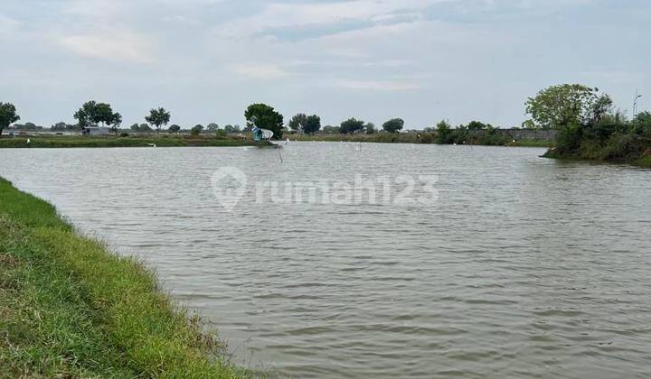 Fishpond land in Duduk Sampeyan Gresik