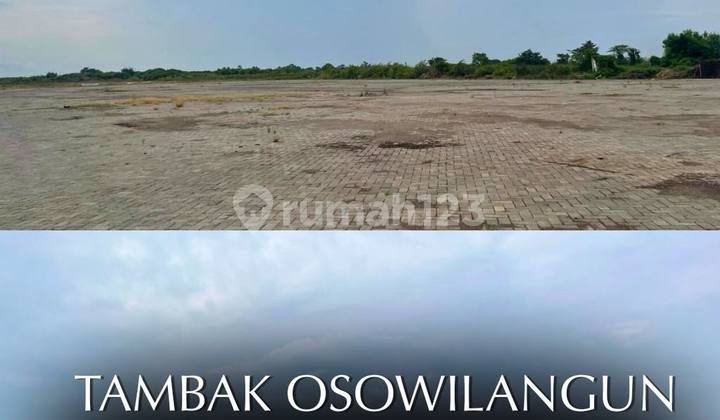 Sewa lahan lokasi jl tambak Osowilangun Dekat pelabuhan teluk lamong Sewa lahan lokasi jl tambak Osowilangun Dekat pelabuhan teluk lamong