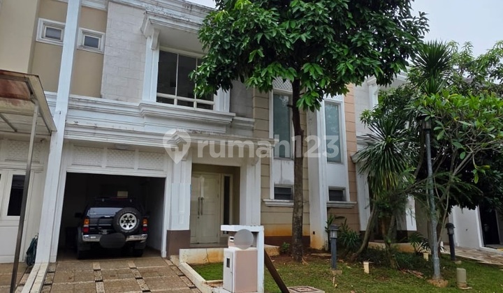 Cheap Here Brand New House Cluster Flamingo The Spring Cheap Here Brand New House Cluster Flamingo The Spring