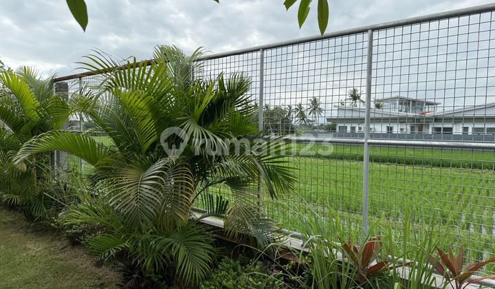 VILLA 2 Bedrooms CEMAGI VIEW RICE FIELDS