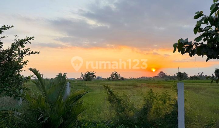 Sunset 3 Bedrooms Villa Sessah Rice Field View Sunset 3 Bedrooms Villa Sessah Rice Field View