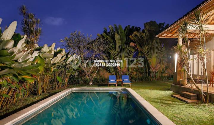 LUXURY 3 Bedrooms UMALAS BIG GARDEN