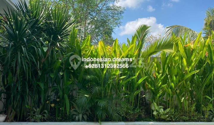 BRAND NEW 3 Bedrooms VILLA BERAWA CANGGU CENTRAL NO CONSTRUCTION BRAND NEW 3 Bedrooms VILLA BERAWA CANGGU CENTRAL NO CONSTRUCTION
