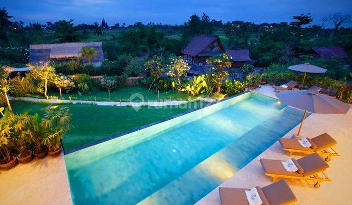 Villa 4 Br Dengan View Sawah di Padonan Canggu 2