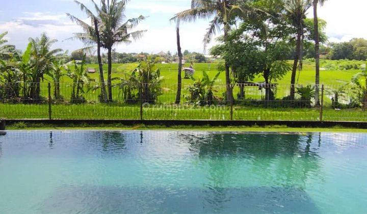 Villa 4 Bedrooms + 1 Free Space di Babakan Canggu 1