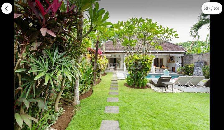 Spacious and Comfortable 2 Br Villa in Central Seminyak  1