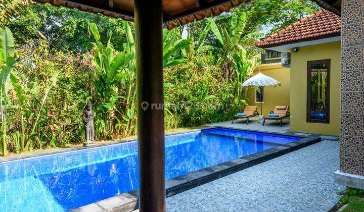 Villa 4 Br Semer Kerobokan Dengan Halaman Luas 2