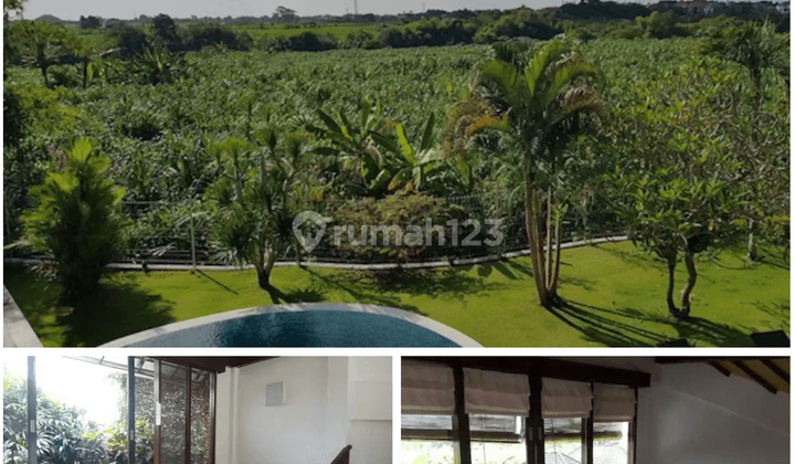 3 Br Villa in Canggu Spacious Yard and Rice Field View 2