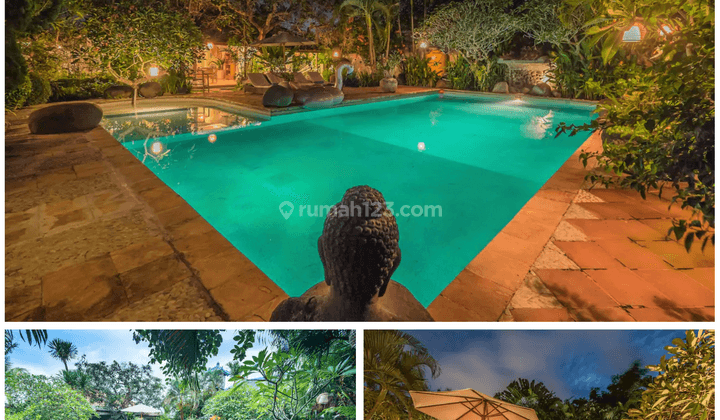 3 Br Umalas Villa with Large Bohemian Luxury Style Yard 1