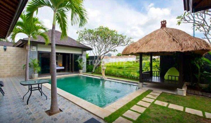 Umalas 3 Br Villa with Rice Field View 1