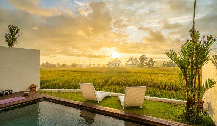 New 2 Br Villa in Seseh Luxury with Sawah Sunset View 1