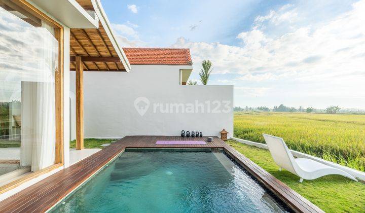 New 2 Br Villa in Seseh Luxury with Sawah Sunset View 2