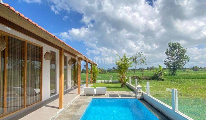 New 3 Br Villa in Seseh Canggu With Sunset And Rice Field View 1