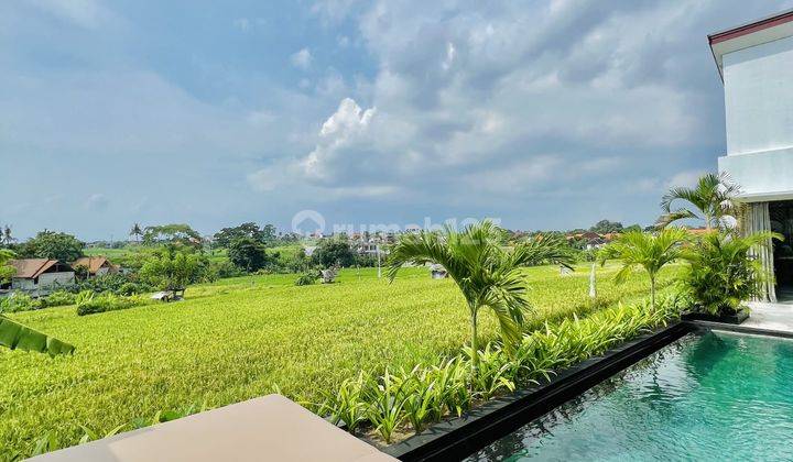 Large and Luxurious 3 Br Villa in Umalas With Rice Field View 1