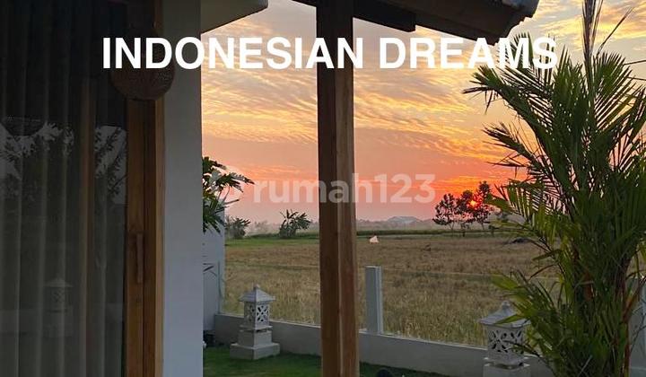 Villa 3 Br Seseh View Rice Fields and Sunset Available Monthly and Yearly