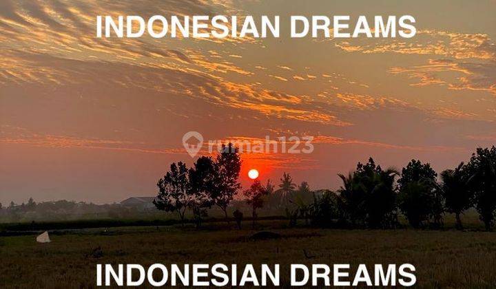 NO CONSTRUCTION SUNSET N PADDIEW VIEW 3 Bedrooms VILLA IN SESEH  2