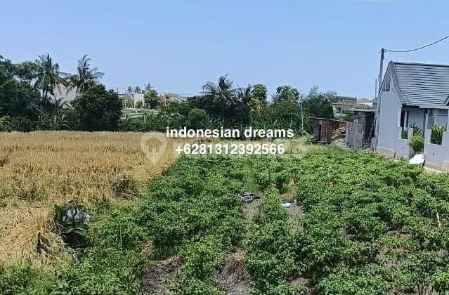 Tanah Seseh View Sunset Walking Distance To The Beach