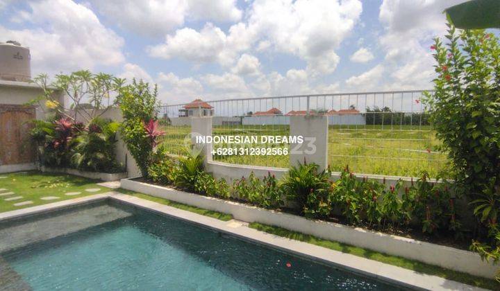 New 2 Br Cemagi Villa With Rice Field View 1