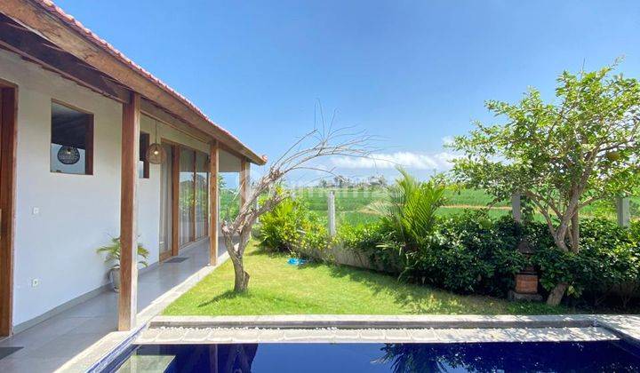 Villa 3 Br Seseh Canggu Tropical Modern View Sunset Sawah 1