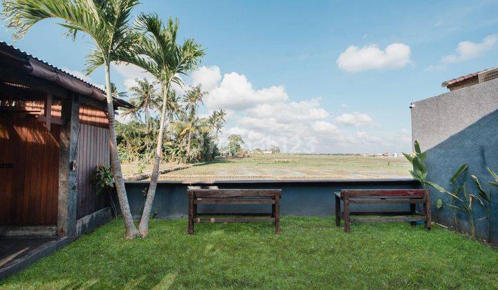 Villa 2 br cemagi canggu view rice fields and large garden 1