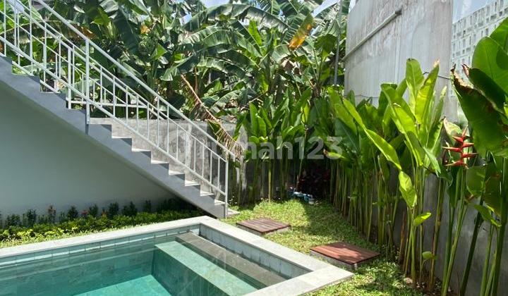 Brand New 2 Bedrooms Villa Pererenan 2