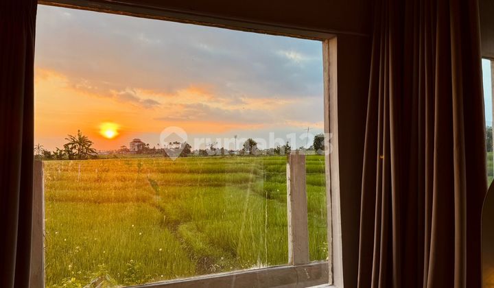 Sunset N Paddies View 3 Bedrooms Villa In Seseh