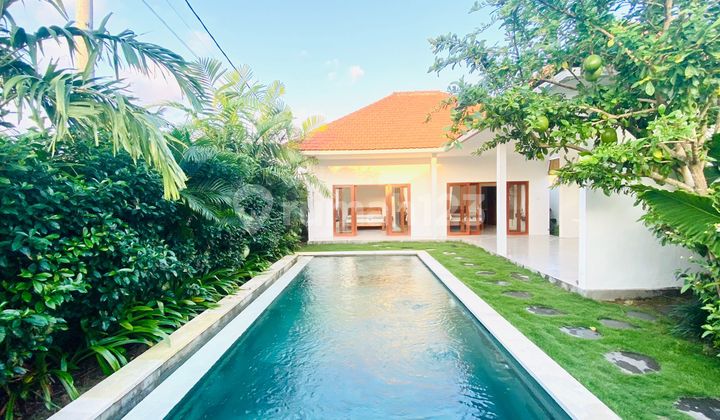 VILLA 2 Bedrooms in SESEH CENTRAL VIEW RICE FIELDS