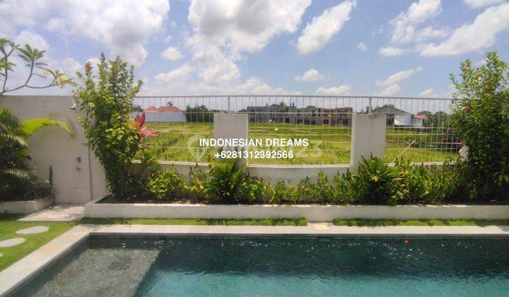 New 2 Br Cemagi Villa With Rice Field View 2