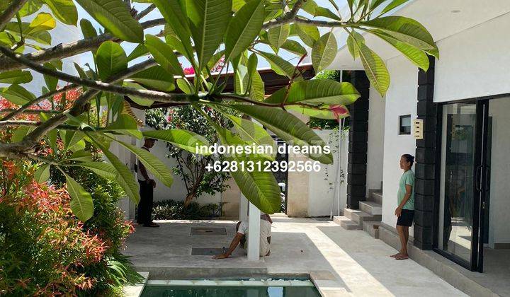 Brand New Villa 2 Br Pererenan Beach Side Area 1