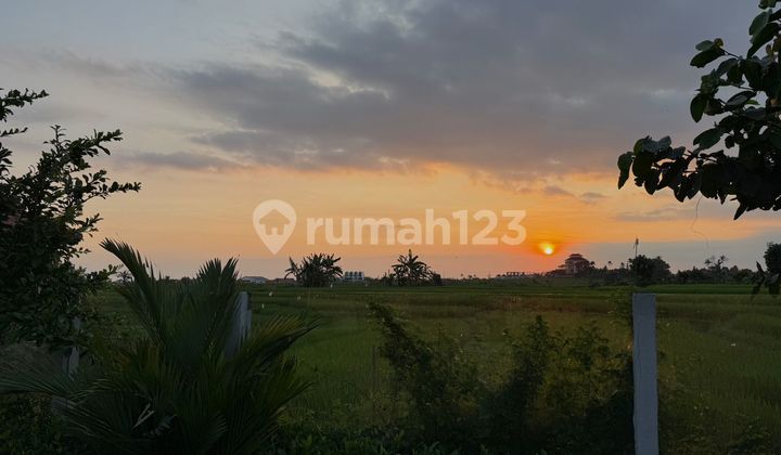 VILLA 3 Bedrooms SESEH SUNSET AND PADDIES VIEW VILLA 3 Bedrooms SESEH SUNSET AND PADDIES VIEW