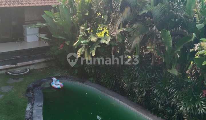 Big 3 Bedrooms Villa In Kerobokan Paddies View