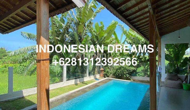 Villa 2 Br Seseh Canggu Modern Tropical Modern 2