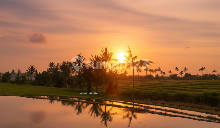 CHEAP AMAZING SUNSET AND PADDIES 900 sqm LAND BEACHSIDE PERERENAN CHEAP AMAZING SUNSET AND PADDIES 900 sqm LAND BEACHSIDE PERERENAN