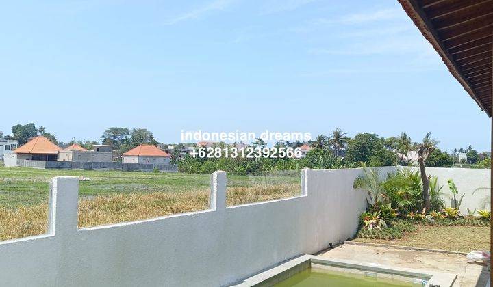 Villa Baru 2 Br Seseh View Sunset Sawah  1