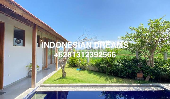 LARGE 3 Bedroom VILLA with SESEH SUNSET RICE FIELD VIEW LARGE 3 Bedroom VILLA with SESEH SUNSET RICE FIELD VIEW