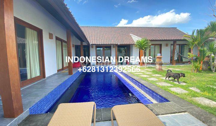 Villa 4 Br Umalas Tropical Modern Ready Oktober 2